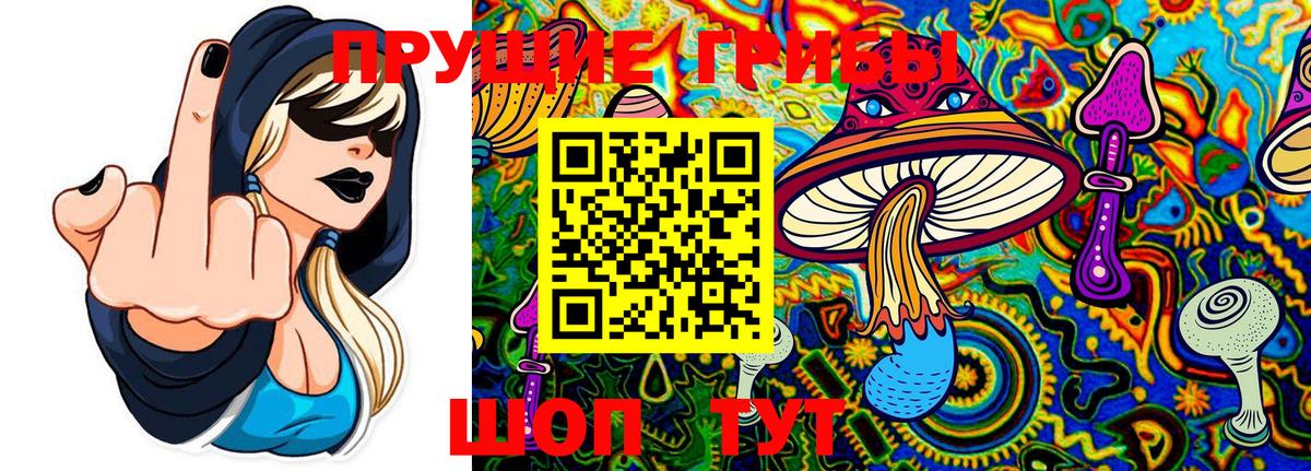 Советский  Псилоцибиновые грибы мухоморы  Вход с VPN  купить  цена  Галлюциногенные грибы Magic Shrooms 