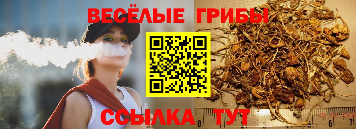 Псилоцибиновые грибы MAGIC MUSHROOMS Советский